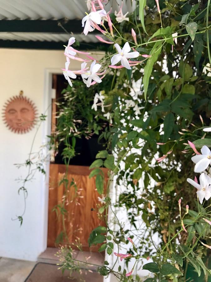 La Bella B&B Under The Fig Tree Bela-Bela Exterior foto